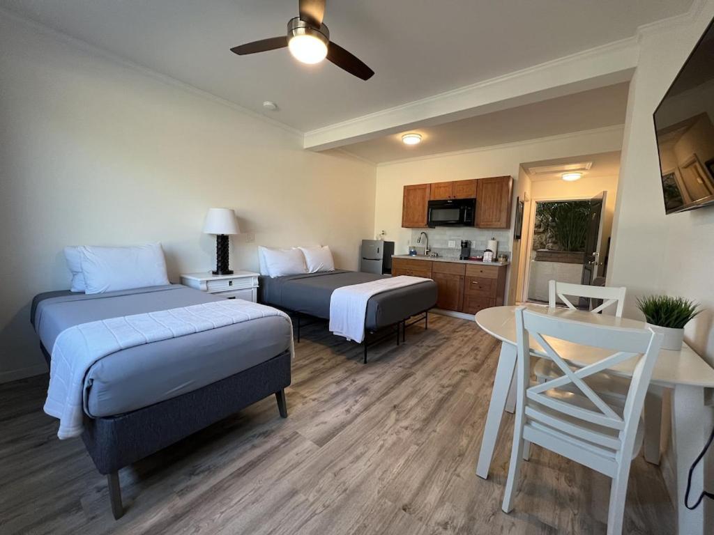 Unit 19 Maui Ohana Modern Studio Wailuku Exteriér fotografie